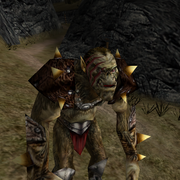 gm texture face Gro Thur.png