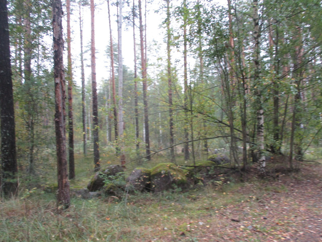 IMG-9685