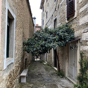IMG-1777