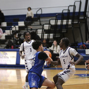 IMG-6147