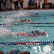 IMG-7848