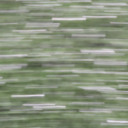 IMG-8559