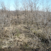 2012-01-06-232
