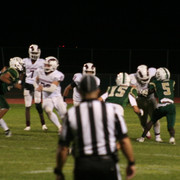 IMG-6774