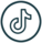 TikTok Icon