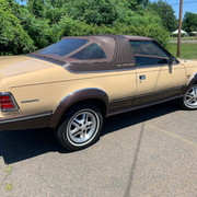 AMC-Eagle-Sundancer