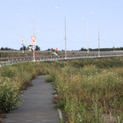 DSC5271