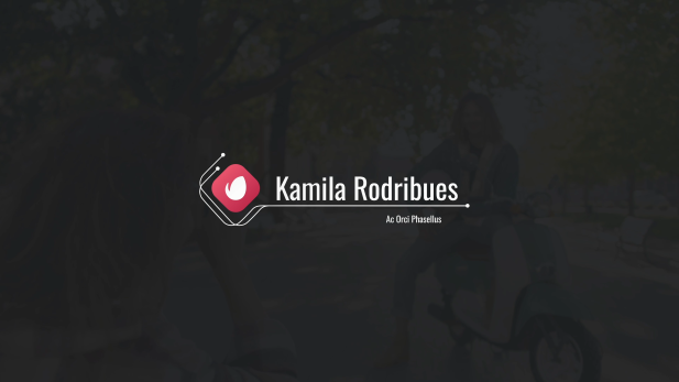 Professional Logo Lower Thirds Set Professional Logo Lower Thirds Set