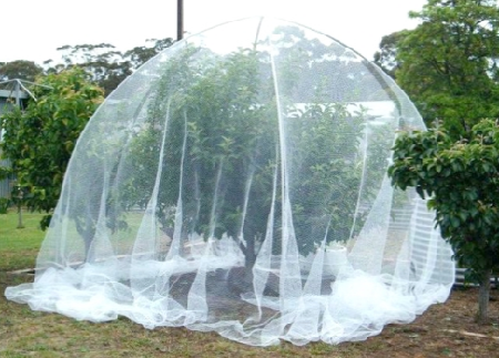Bird-Netting