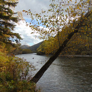 DSC03681