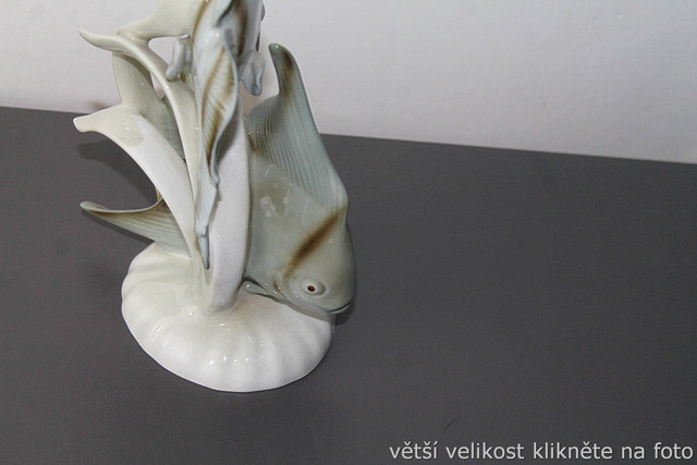 IMG-7908.jpg