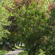 DSC3874
