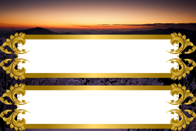 61