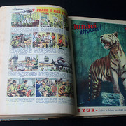 IMG-5787