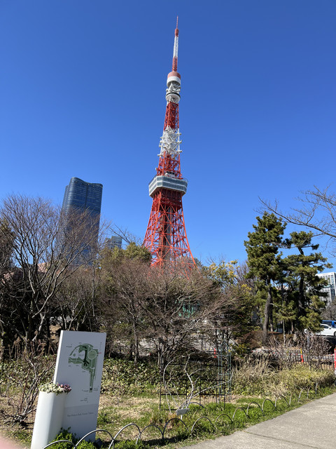 IMG-2637.jpg
