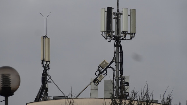 DSC07850