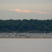 IMG-3387