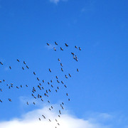 DSC00107