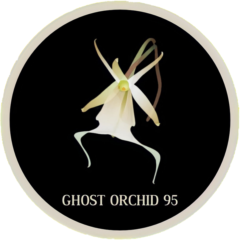 Ghost Orchid