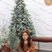 IMG-2025