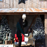 IMG-6468