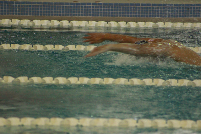 IMG-0198