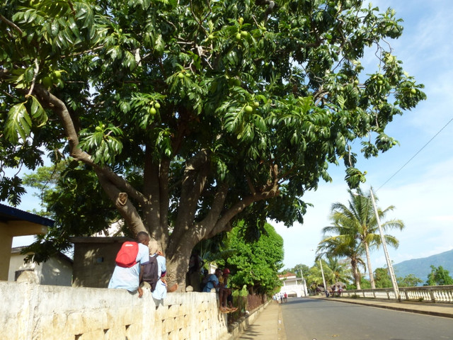 P1080859
