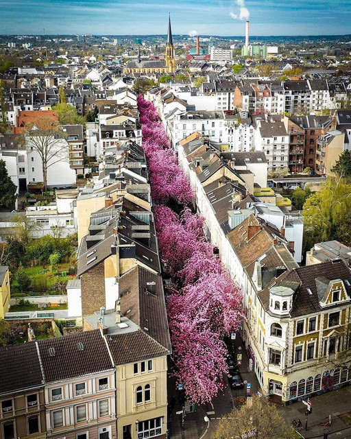 Bonn-Germany