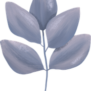 Floral-4