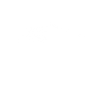 yBrush53