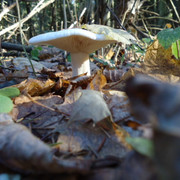 DSC00302