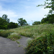 P1320916