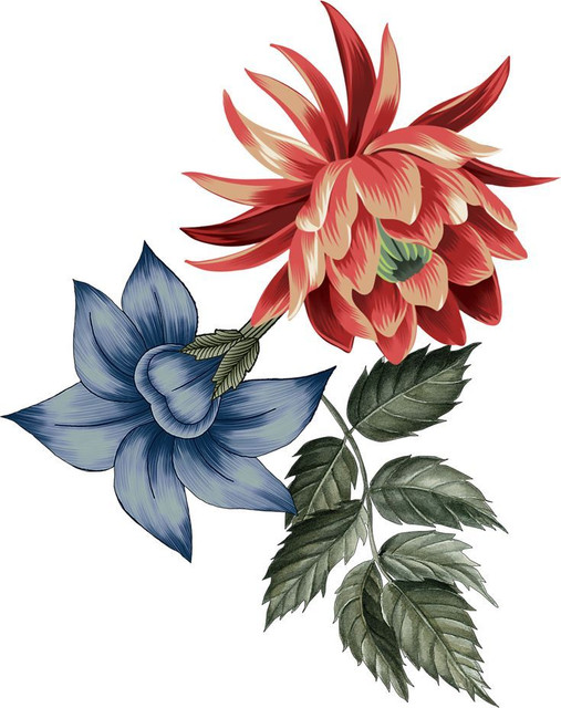 download-2.jpg