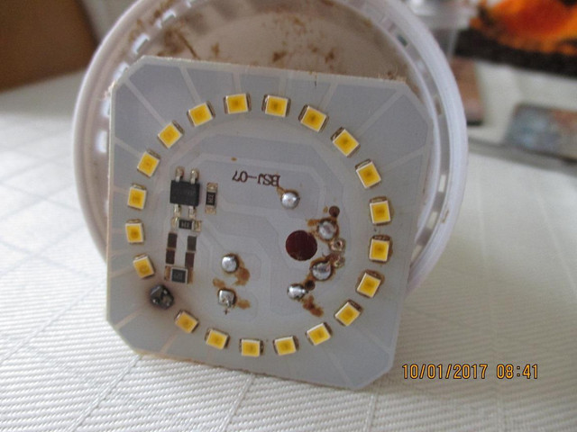 Bulb 2.jpg
