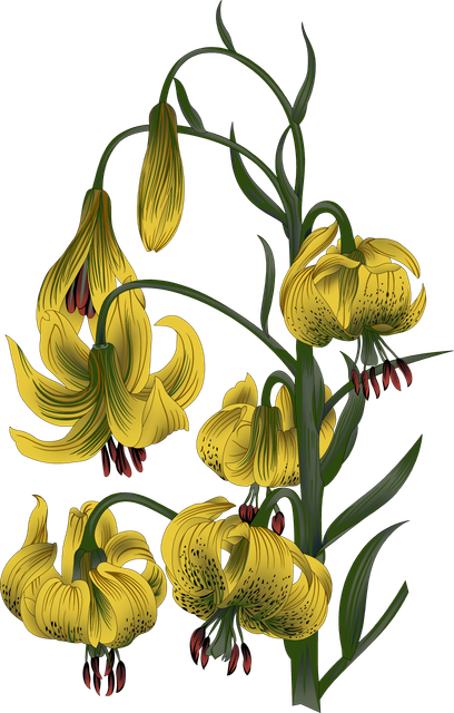 fedbb3dfb290a2c67d32da73a7ac9d8c.png