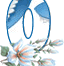 20101230-41
