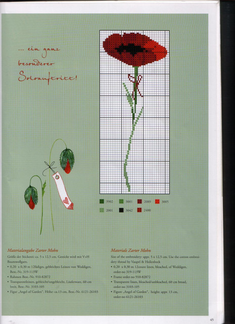 Acufactum-Sommergaeste-45