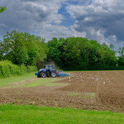 DSF1814
