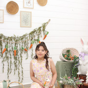 IMG-4176