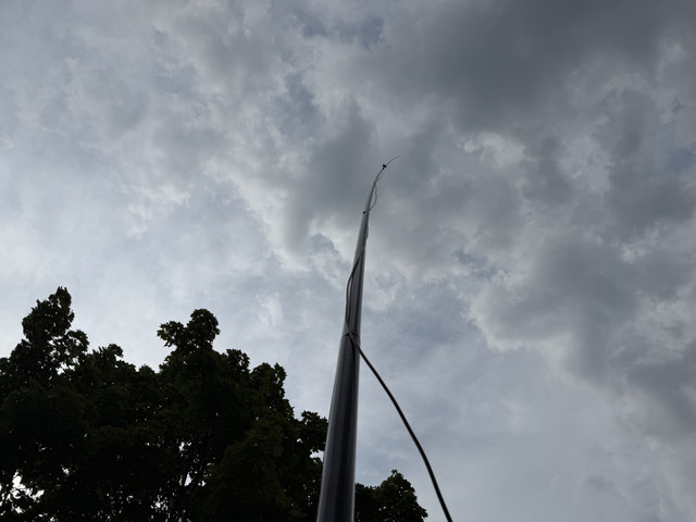 IMG 7266.jpg