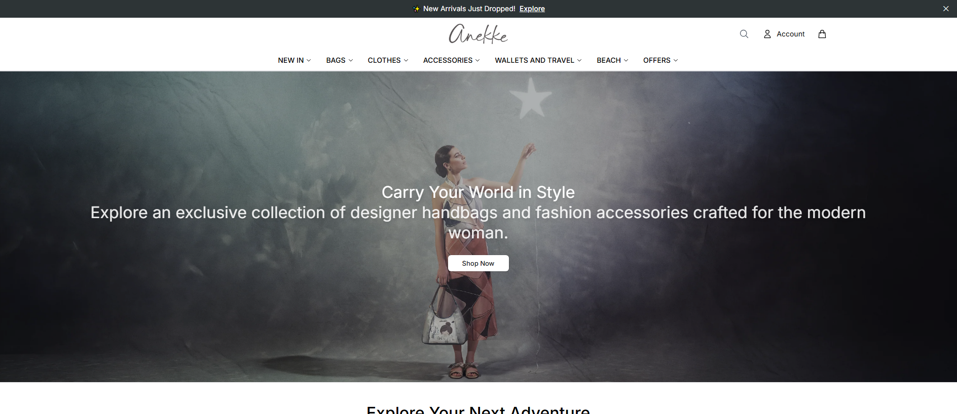 Stored capture of anekkedesign.shop