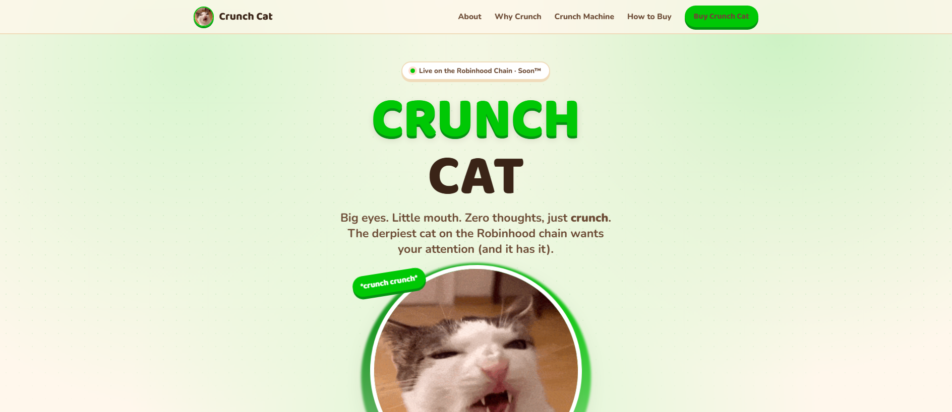 Forensic screenshot of crunchcat.run showing the phishing page layout