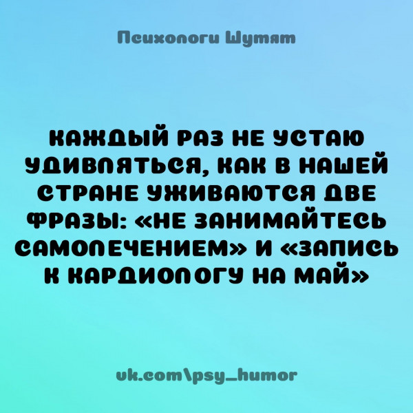 https://i.ibb.co/wNFCm7dq/image.jpg