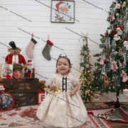 IMG 4250
