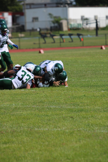 IMG-1481.jpg