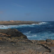DSCF8173