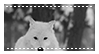 IMG 3371.gif