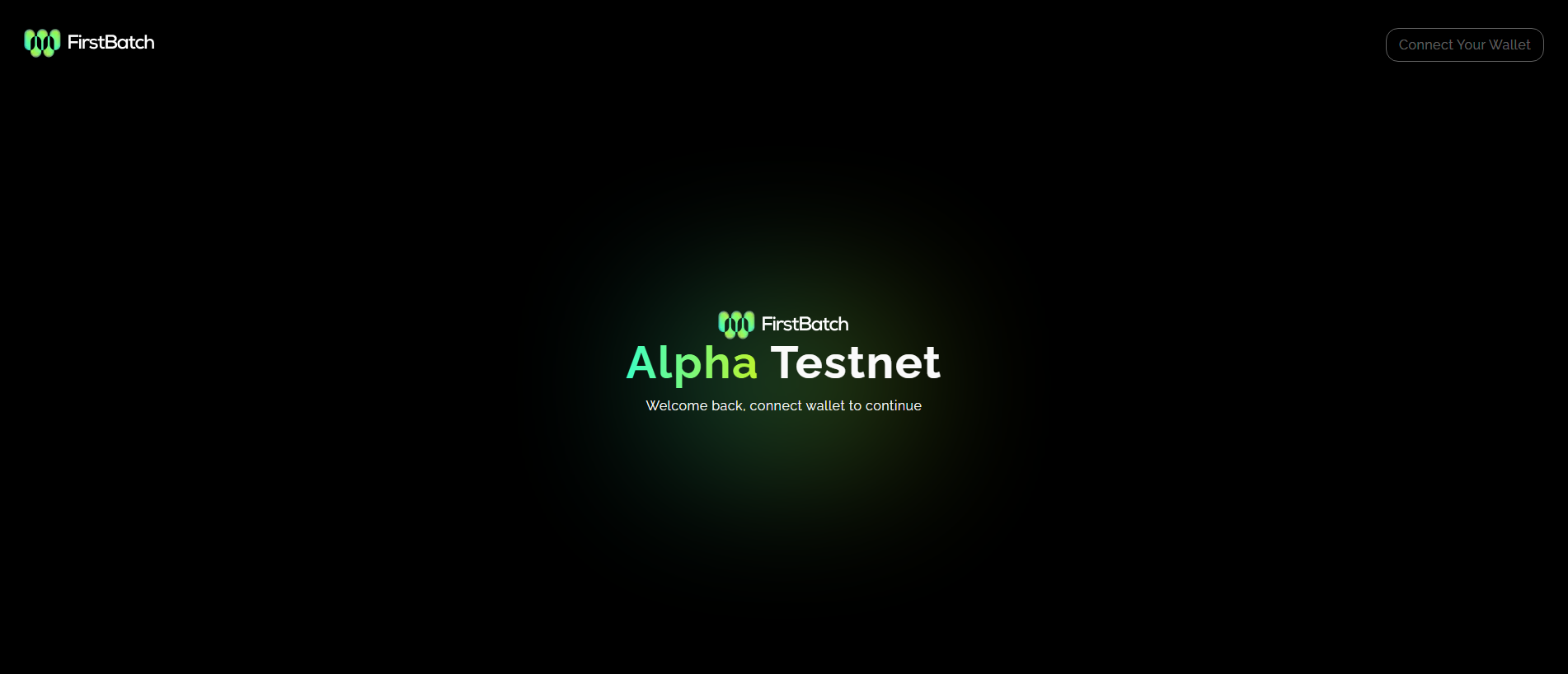 Stored capture of app.firstbatch.xyz