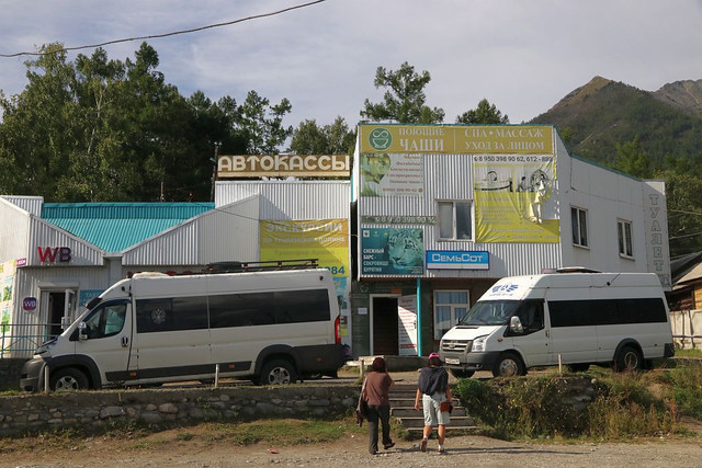 IMG 0246.jpg