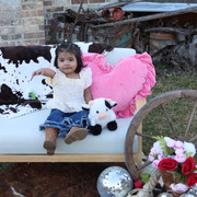 IMG-6242
